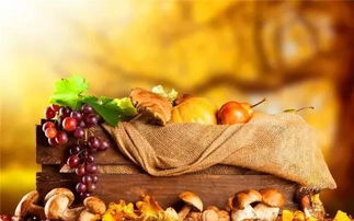 秋季養(yǎng)生家中必備食材10大排行榜，中醫(yī)養(yǎng)生保健服務(wù)指南